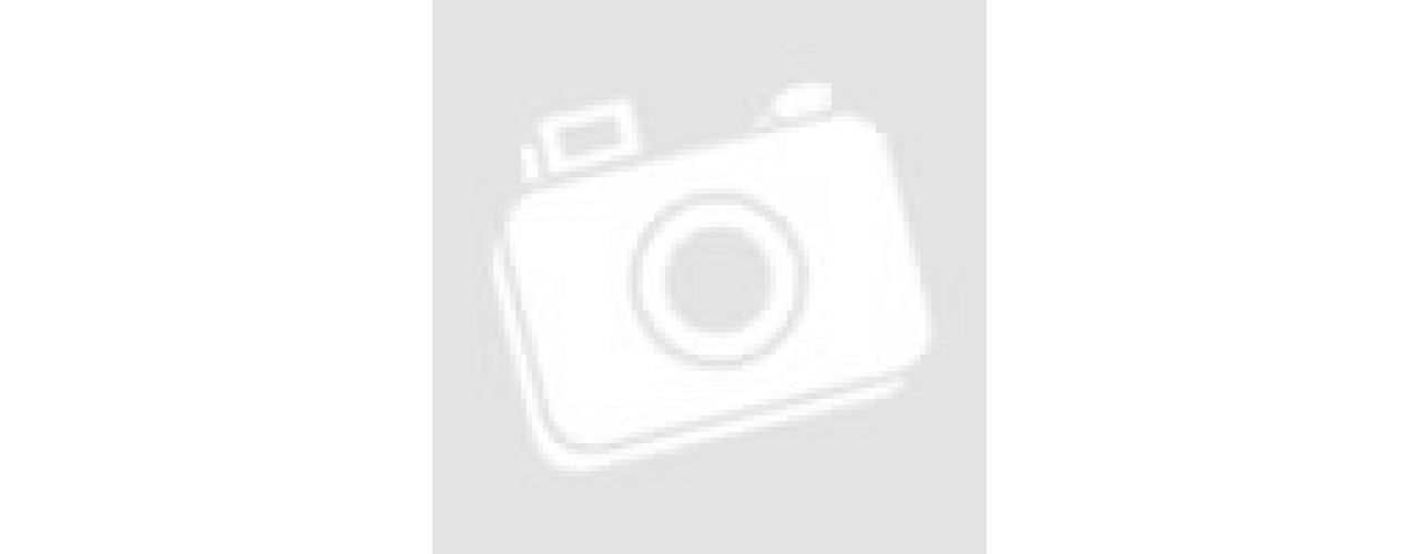 豐隆昕誠 美學靜巷宅